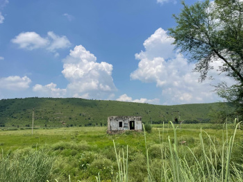 Agricultural/Farm Land for Sale in Sohna, Gurgaon (1 Acre)