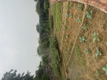 Agricultural/Farm Land for Sale in Sohna Road, Gurgaon (1 Acre)