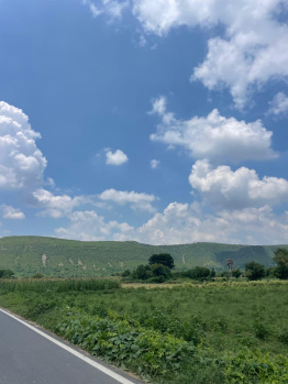 Agricultural/Farm Land for Sale in Pahari, Bharatpur (12 Acre)