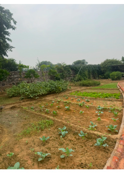 Agricultural/Farm Land for Sale in Deeg, Bharatpur (50 Bigha)