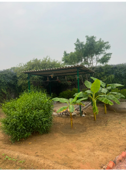 Property for sale in Deeg, Bharatpur