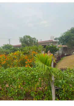 20 Bigha Agricultural/Farm Land for Sale in Pahari, Bharatpur