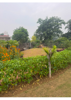 Agricultural/Farm Land for Sale in Pahari, Bharatpur (10 Bigha)