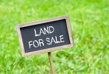 Agricultural/Farm Land for Sale in Naugaon, Alwar (10 Bigha)