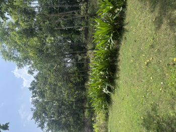 Property for sale in Ferozepur Jhirka, Nuh