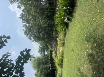 Property for sale in Ferozepur Jhirka, Nuh