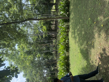Property for sale in Ferozepur Jhirka, Nuh