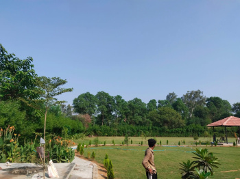 Agricultural/Farm Land for Sale in Tauru, Nuh (2 Acre)