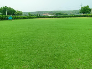 1 Acre Agricultural/Farm Land for Sale in Gurgaon Rural, Gurgaon