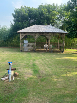 Agricultural/Farm Land for Sale in Gurgaon Rural, Gurgaon (1 Acre)