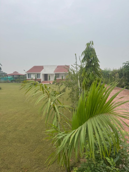 Agricultural/Farm Land for Sale in Gurgaon Rural, Gurgaon (2 Acre)