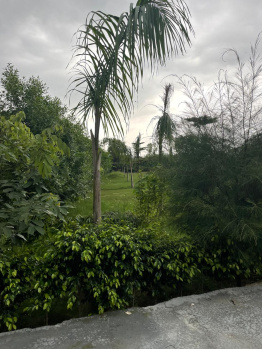 Agricultural/Farm Land for Sale in Gurgaon Rural, Gurgaon (2 Acre)