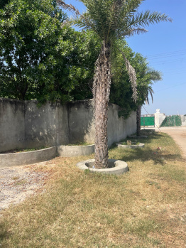 Property for sale in Bhondsi, Gurgaon