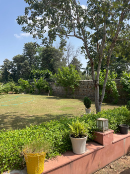 Agricultural/Farm Land for Sale in Sohna, Gurgaon (1210 Sq. Yards)