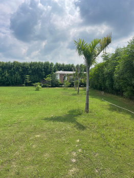 Agricultural/Farm Land for Sale in Sohna, Gurgaon (3610 Sq. Yards)