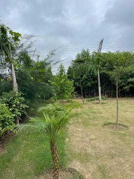 Agricultural/Farm Land for Sale in Sohna, Gurgaon (1 Acre)