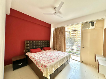 Flats & Apartments for Rent in Sector 33, Gurgaon (561 Sq.ft.)