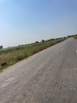 Agricultural/Farm Land for Sale in Naugaon, Alwar (8 Bigha)