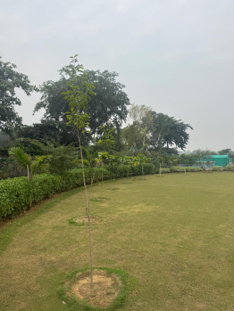 Agricultural/Farm Land for Sale in Sohna, Gurgaon (2420 Sq. Yards)