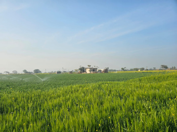 Agricultural/Farm Land for Sale in Naugaon, Alwar (15 Bigha)
