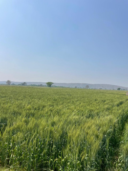 Property for sale in Pahari, Bharatpur