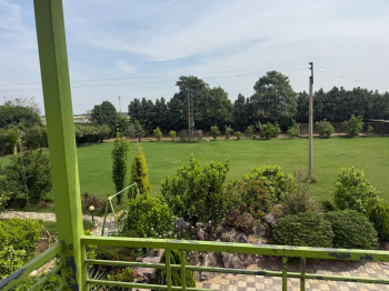 Agricultural/Farm Land for Sale in Taoru, Gurgaon (1 Acre)