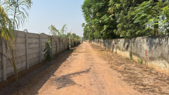 Agricultural/Farm Land for Sale in Naugaon, Alwar (3 Bigha)