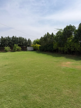 Agricultural/Farm Land for Sale in Sohna Road, Faridabad (2420 Sq. Yards)