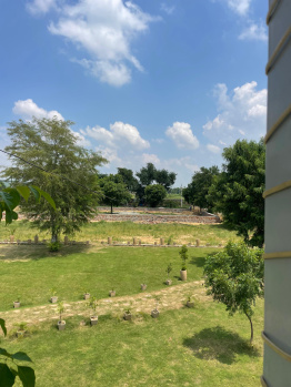 Agricultural/Farm Land for Sale in Naugaon, Alwar (4 Bigha)