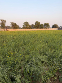 Agricultural/Farm Land for Sale in Naugaon, Alwar (2 Acre)