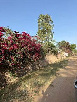 Agricultural/Farm Land for Sale in Sohna, Gurgaon (1 Acre)