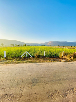 Agricultural/Farm Land for Sale in Pahari, Bharatpur (15 Bigha)
