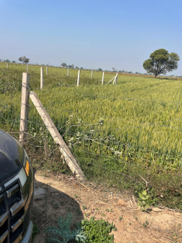 Agricultural/Farm Land for Sale in Pahari, Bharatpur (32 Bigha)