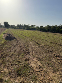 Agricultural/Farm Land for Sale in Naugaon, Alwar (5 Bigha)