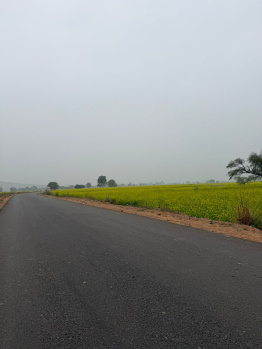 Agricultural/Farm Land for Sale in Naugaon, Alwar (8 Bigha)