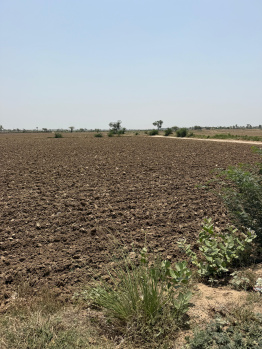 Agricultural/Farm Land for Sale in Pahari, Bharatpur (30 Bigha)
