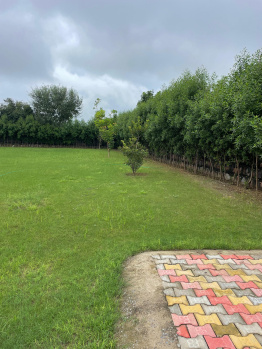 Agricultural/Farm Land for Sale in Sohna, Gurgaon (1210 Sq. Yards)