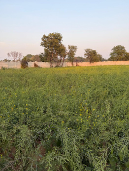 Agricultural/Farm Land for Sale in Sohna Road, Faridabad (2420 Sq. Yards)