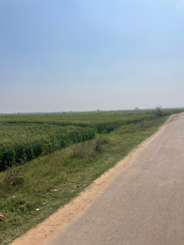 Agricultural/Farm Land for Sale in Naugaon, Alwar (7 Bigha)