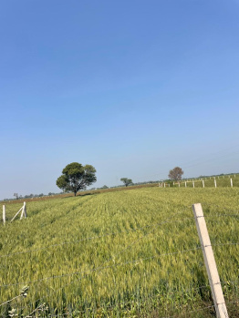 Agricultural/Farm Land for Sale in Pahari, Bharatpur (10 Bigha)