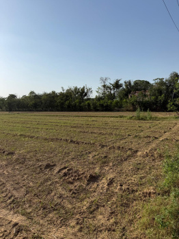 Agricultural/Farm Land for Sale in Sohna Road, Faridabad (3 Acre)