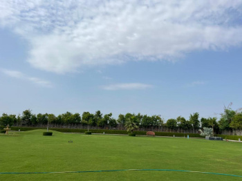 Agricultural/Farm Land for Sale in Sohna, Gurgaon (3600 Sq. Yards)