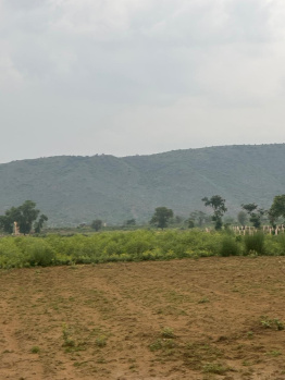 Agricultural/Farm Land for Sale in Naugaon, Alwar (6 Bigha)