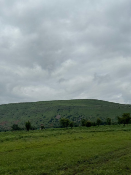 Agricultural/Farm Land for Sale in Naugaon, Alwar (16 Bigha)