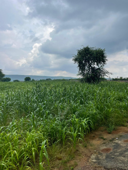 Agricultural/Farm Land for Sale in Naugaon, Alwar (25 Bigha)