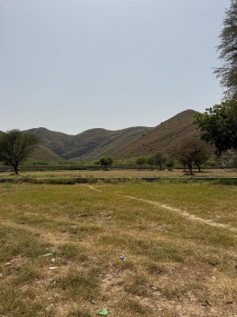 Agricultural/Farm Land for Sale in Naugaon, Alwar (30 Bigha)