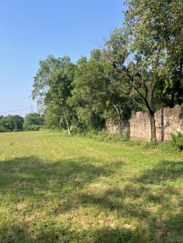 Agricultural/Farm Land for Sale in Sohna Road, Faridabad (1 Acre)
