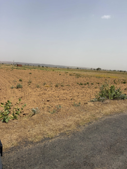 Agricultural/Farm Land for Sale in Ferozepur Jhirka, Nuh (1 Acre)