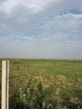 Agricultural/Farm Land for Sale in Pahari, Bharatpur (5 Bigha)