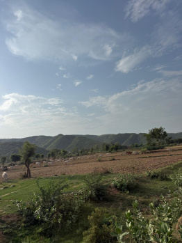 Agricultural/Farm Land for Sale in Pahari, Bharatpur (10 Bigha)